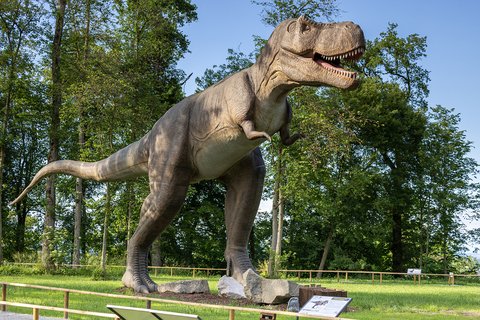 DINOLAND08_(c)_Dominik_Gruss_k