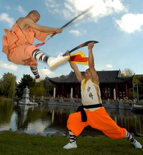 MASTERS OF SHAOLIN KUNG FU