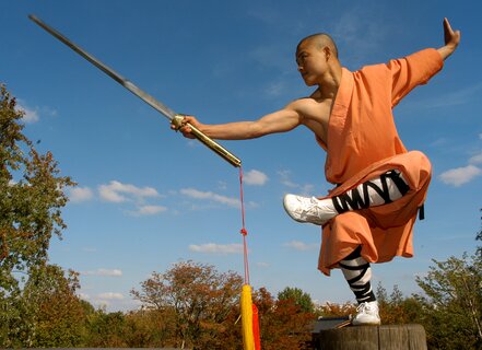 MASTERS OF SHAOLIN KUNG FU