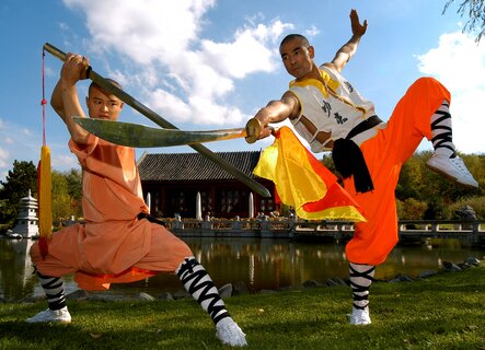 MASTERS OF SHAOLIN KUNG FU