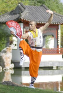 MASTERS OF SHAOLIN KUNG FU