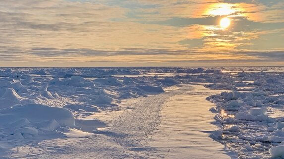 POLAR EXPERIENCE