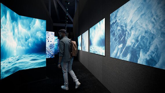POLAR EXPERIENCE