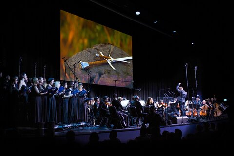 Der Herr der Ringe & Der Hobbit