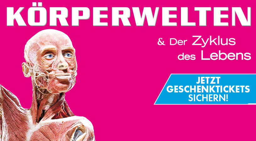 Blockbuster-Ausstellung in Linz: Die KÖRPERWELTEN kommen!